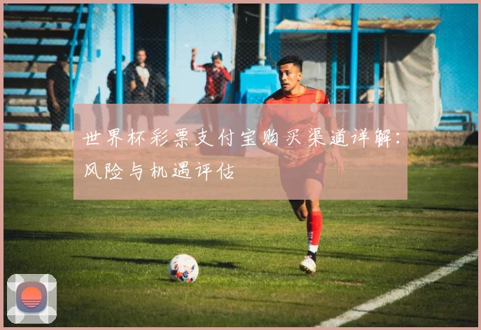 世界杯彩票支付宝购买渠道详解：风险与机遇评估