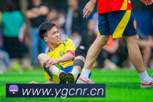 星空网官方登录入口平台生态图